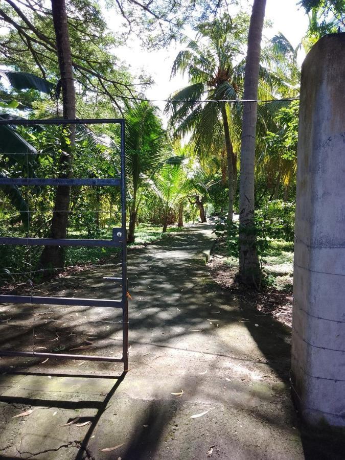 Rancho Tranquillo Hostel Moyogalpa Luaran gambar
