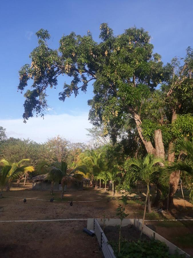 Rancho Tranquillo Hostel Moyogalpa Luaran gambar