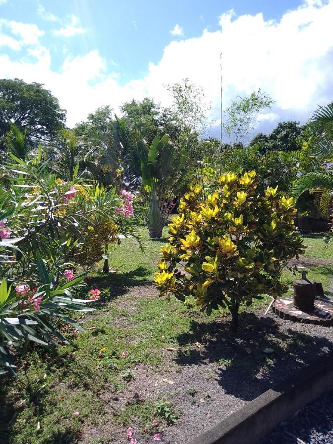Rancho Tranquillo Hostel Moyogalpa Luaran gambar