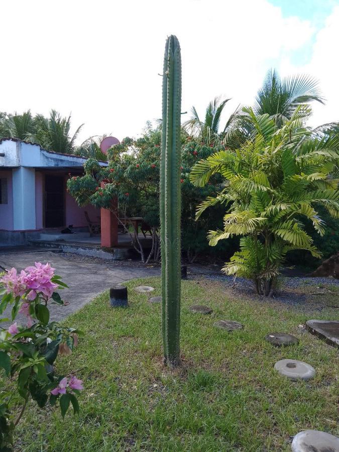 Rancho Tranquillo Hostel Moyogalpa Luaran gambar