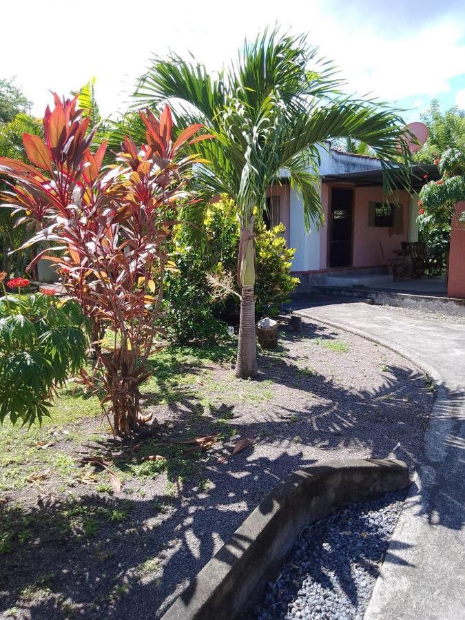 Rancho Tranquillo Hostel Moyogalpa Luaran gambar
