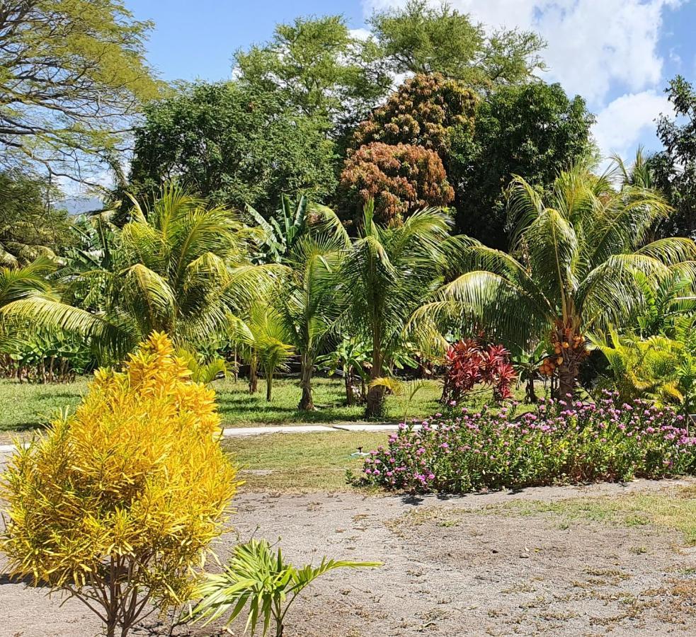 Rancho Tranquillo Hostel Moyogalpa Luaran gambar