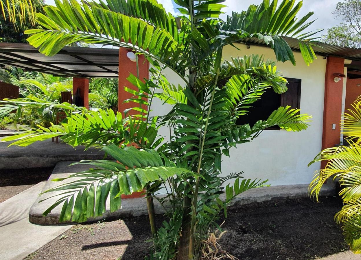 Rancho Tranquillo Hostel Moyogalpa Luaran gambar